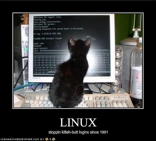 Linux kitteh